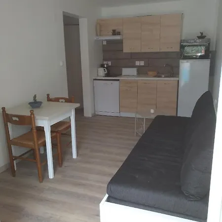 Le Lion D'or Dans Le 66 Apartment Amelie-les-Bains-Palalda