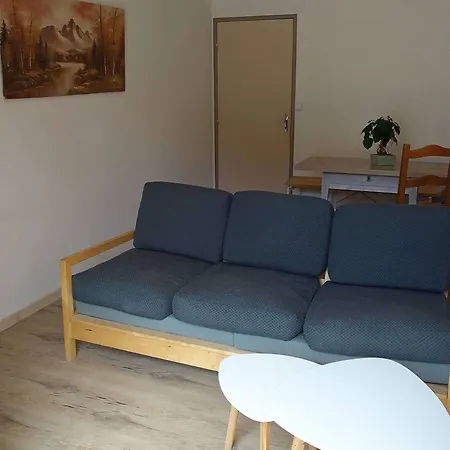 Apartment Le Lion D'or Dans Le 66
